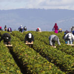 canada extends measures to help employers hire foreign workers
