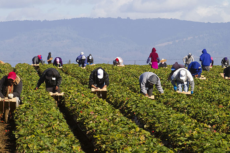 Canada extends measures to help employers hire foreign workers