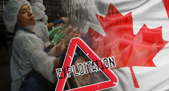 Canadian Meat Production Workers Up-And-Arms Against Exploitative Working Conditions