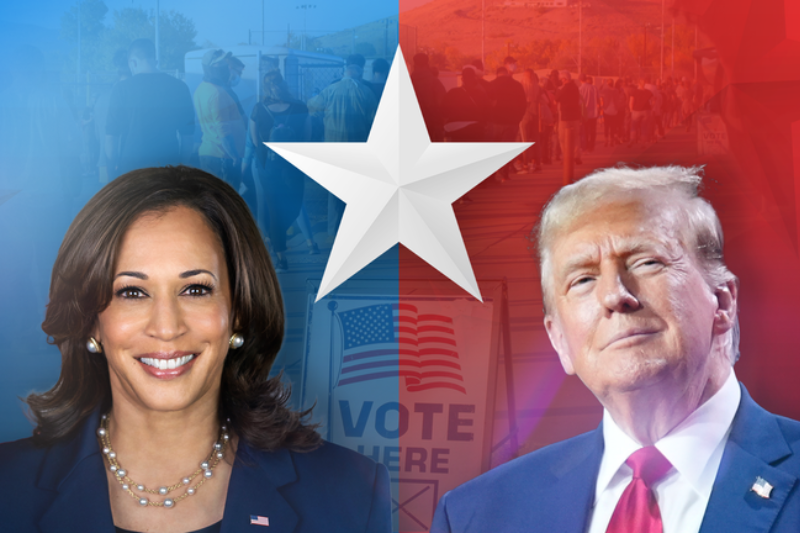 Celebrities Endorsing Donald Trump and Kamala Harris in the 2024 US Presidential Election