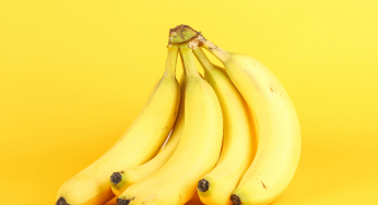 Chiquita Fires 5,000 Banana Workers in Panama: $75M Loss Explained – All You Need to Know About the Strike
