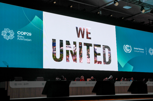 climate migration takes center stage at cop29 as displacement numbers soar