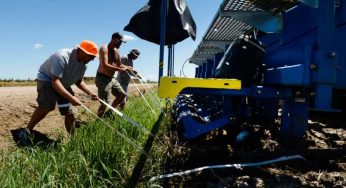 Colorado Democrats push forward farm workers bill advocating minimum wage and basic rights