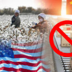 companies to clean up supply chains under uyghur labor