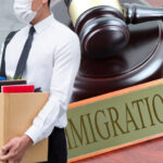 company director disqualified for four years for immigration law violations