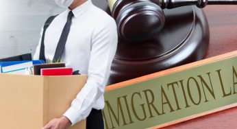 Company Director Disqualified For Four Years For Immigration Law Violations