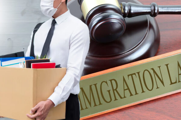 company director disqualified for four years for immigration law violations