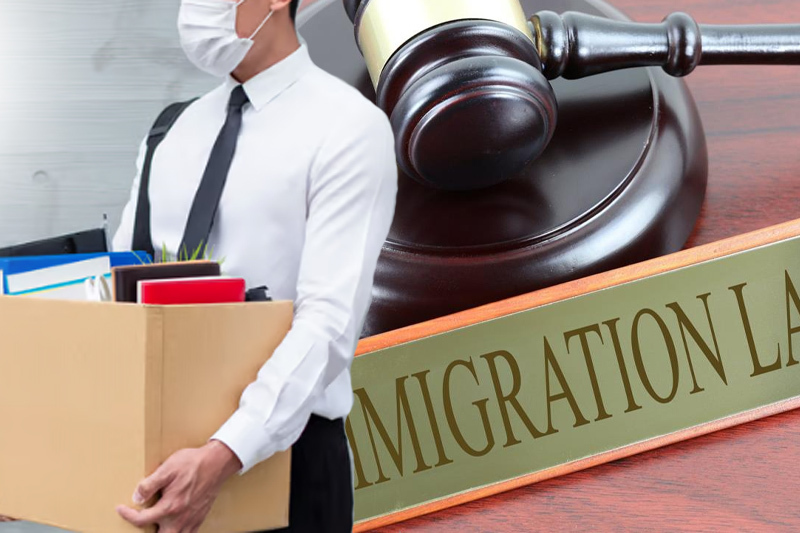 company director disqualified for four years for immigration law violations