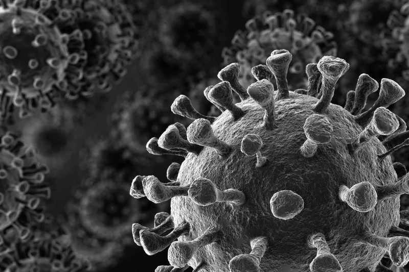 coronavirus origin