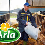 dairy co op arla to pay farmers more for milk if climate targets met