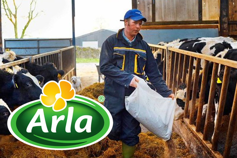 dairy co op arla to pay farmers more for milk if climate targets met