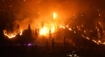 Devastating Wildfires Making Migrant Workers More Vulnerable