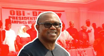 The new Director General of Obi-Datti Abhiyan Parishad, Prof. Akin osuntokun