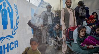 Displaced Afghans receive assistance as they return home