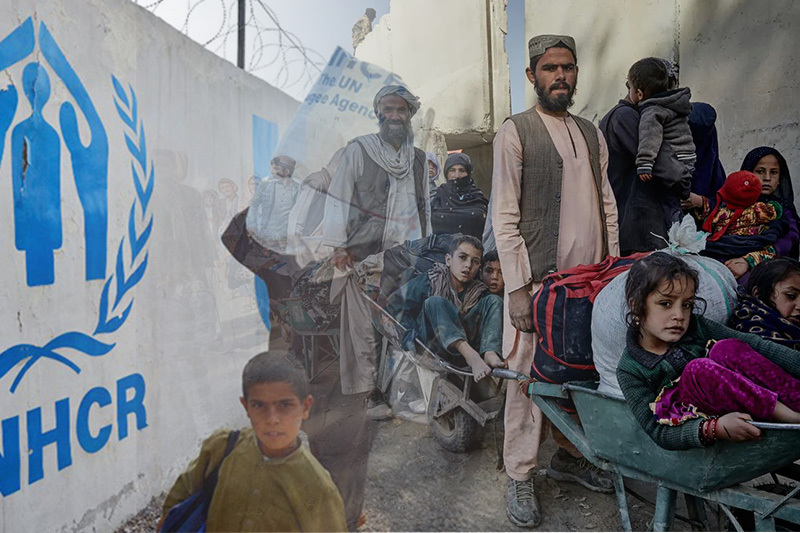 displaced afghans receive assistance as they