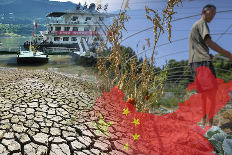 drought and heat threaten crops in china