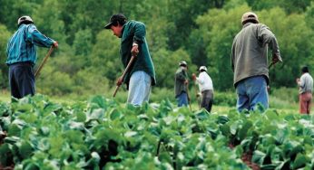 Eased restrictions to bring in temporary migrant workers in Canada