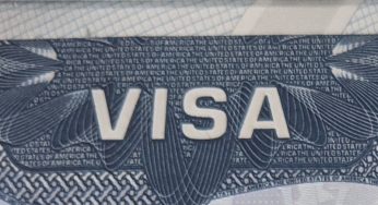 What Is the Einstein Visa? A Guide to O-1 and EB-1A Eligibility and Process