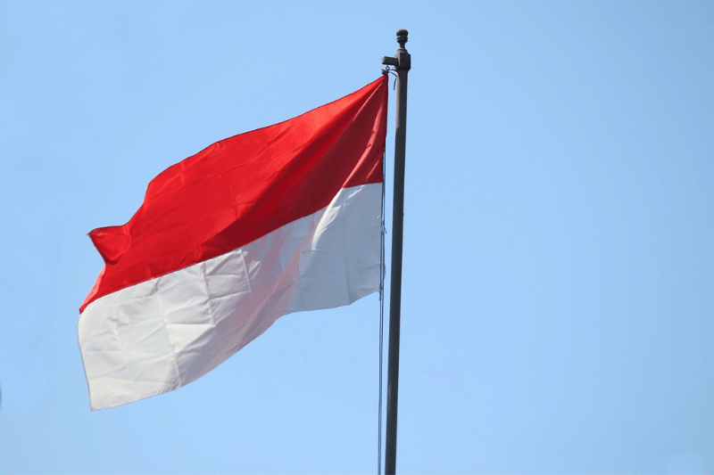 enhancing protection and placement indonesian migrant workers in focus