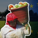 Europe comes down heavy on illegal migrant work in farms