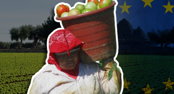 Europe Comes Down Heavy On Illegal Migrant Work In Farms And Vineyards