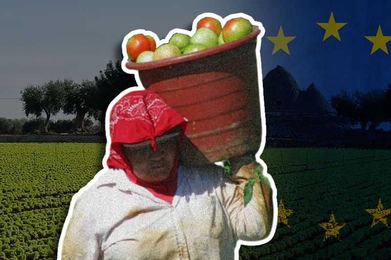 Europe comes down heavy on illegal migrant work in farms