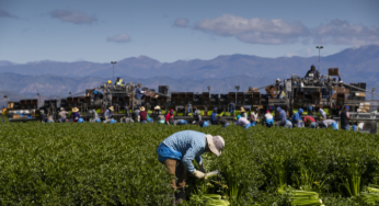 Europe’s Migrant Workers: Urgent Call for Change