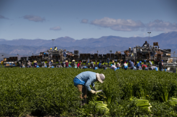 europe's migrant workers urgent call for change