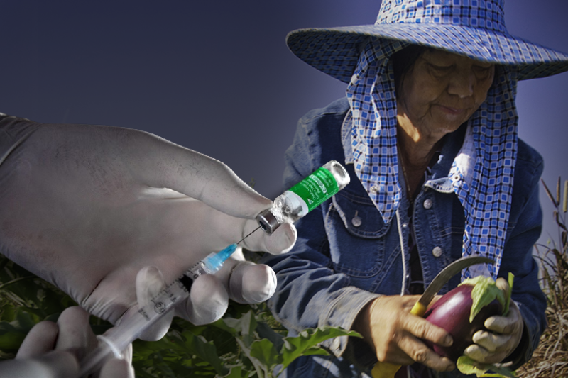 Vaccines become more accessible to farmworkers; Problems persist