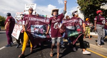 South Africa: Farm Women Workers Demand Action Against Distell’s Suppliers That Violate Workers’ Rights