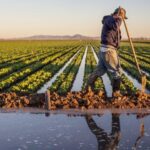 farmers worried over lowering colorado river water