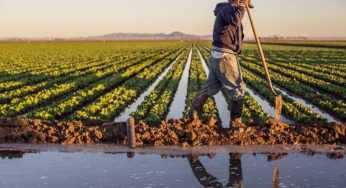 Farmers Worried Over Lowering Colorado River Water