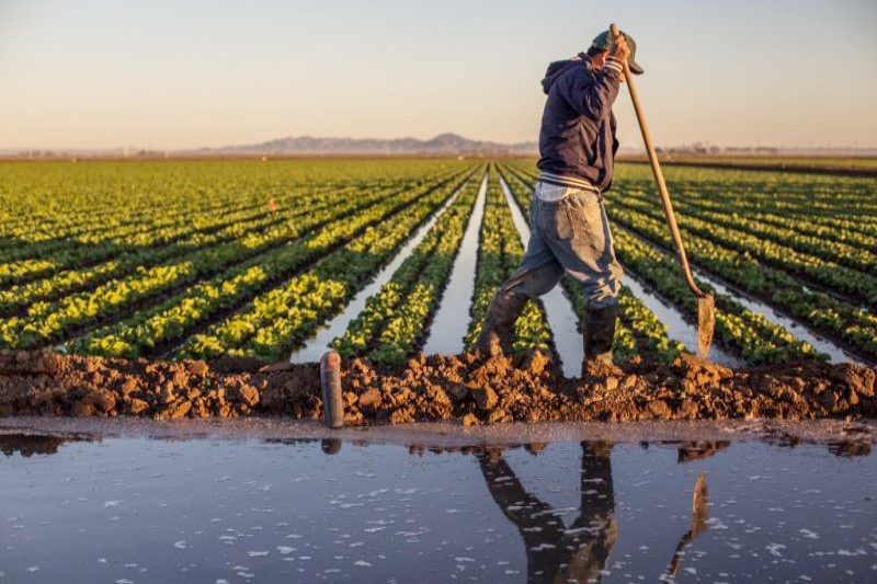 farmers worried over lowering colorado river water