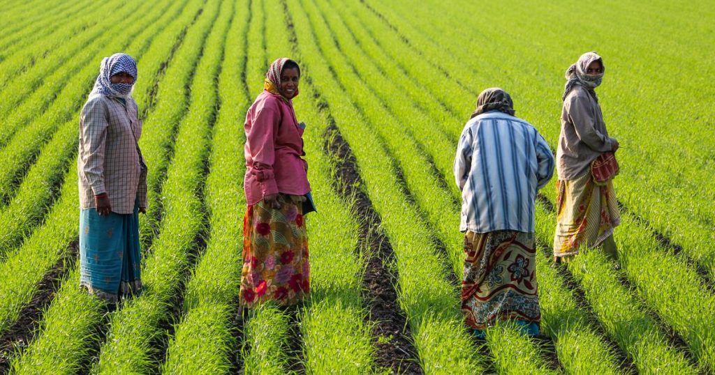 farmers and agricultural workers