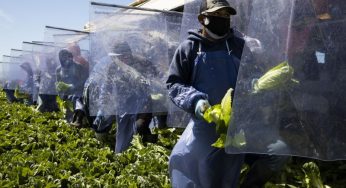 Farmworkers insist for basic safety measures as heatwave beats most parts of the US