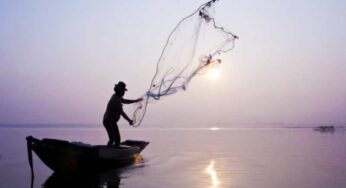 How Fisheries Are Ignoring Labour Laws