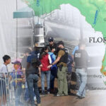 florida could soon make it illegal to transport undocumented migrants