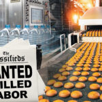 food companies face challenges of migration & labor shortfalls