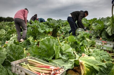 Foreign workers criticize UK farm labour scheme; Workers living without bathroom and running water
