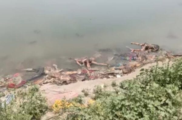 ganga bodies covid19