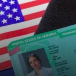 green card shock for h 1b workers
