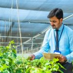 green jobs countries 2026