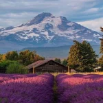 hood river oregon for remote workers