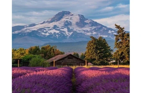 hood river oregon for remote workers