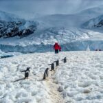 how is human life in antarctica 2022