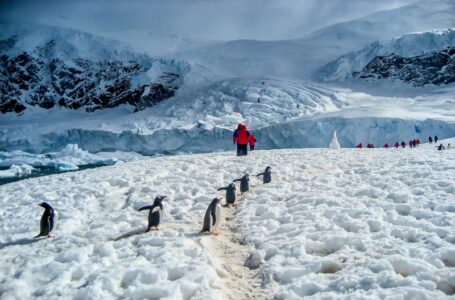 How Is Human Life In Antarctica 2022?
