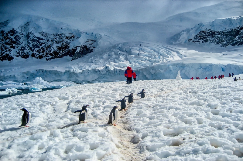 how is human life in antarctica 2022