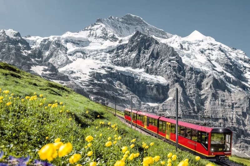 how to find a job in switzerland