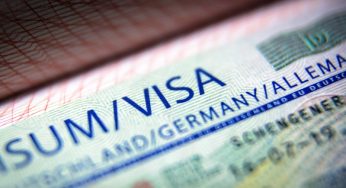 How To Get A Work Permit And Visa In Germany:  Everything You Need To Know