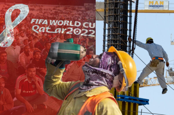 how many migrant workers have died in qatar